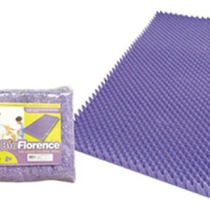 Forração CX de ovo - BIOFLORENCE